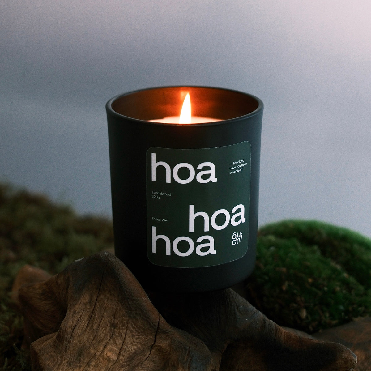 hoa hoa hoa